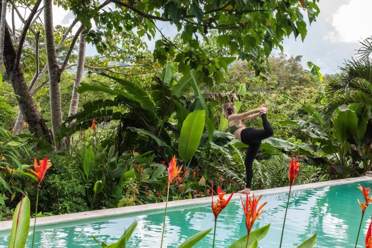 Jungle Lodge At Wild Sun Rescue Center Cabuya  Exterior foto